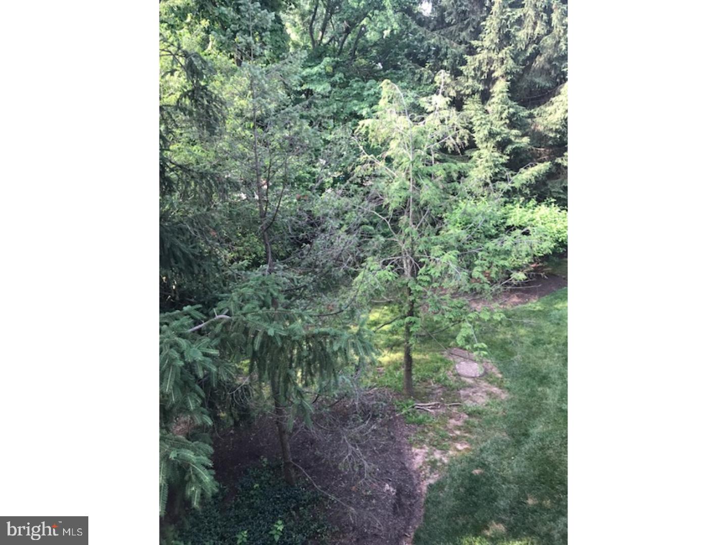 212 Christopher Place, Unit 12 Chalfont, PA 18914 - Photo 19 of 21 View in Back