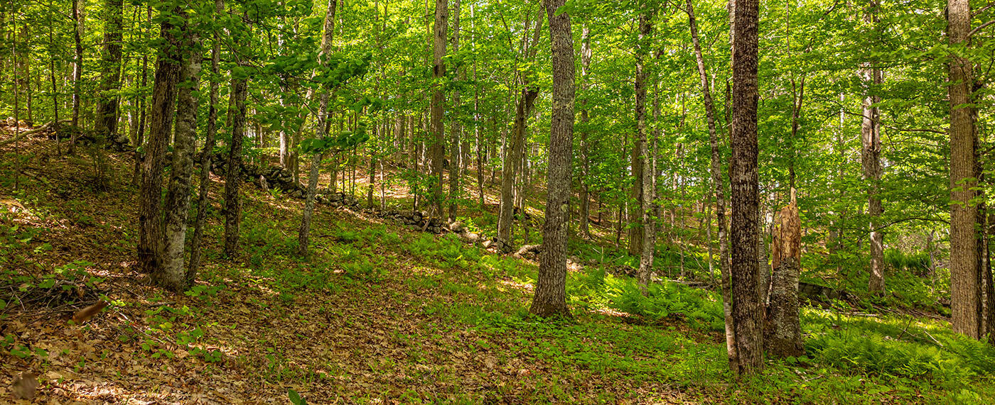 58 Roberts Road Nobleboro, ME 04555 - Photo 40 of 41 DJI_0586