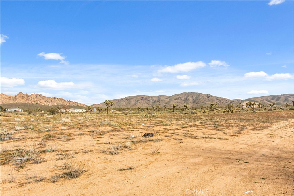 26525 Papago Road Apple Valley, CA 92307 - Photo 25 of 40