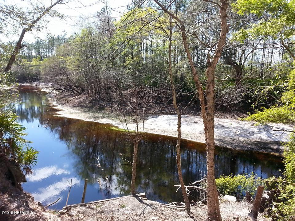 2229 St Marys River Bluff Road St. George, GA 31562 - Photo 1 of 10 callahan3