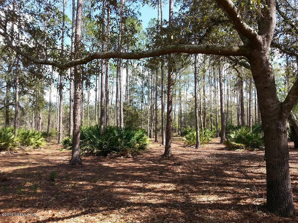 2229 St Marys River Bluff Road St. George, GA 31562 - Photo 8 of 10 callahan7