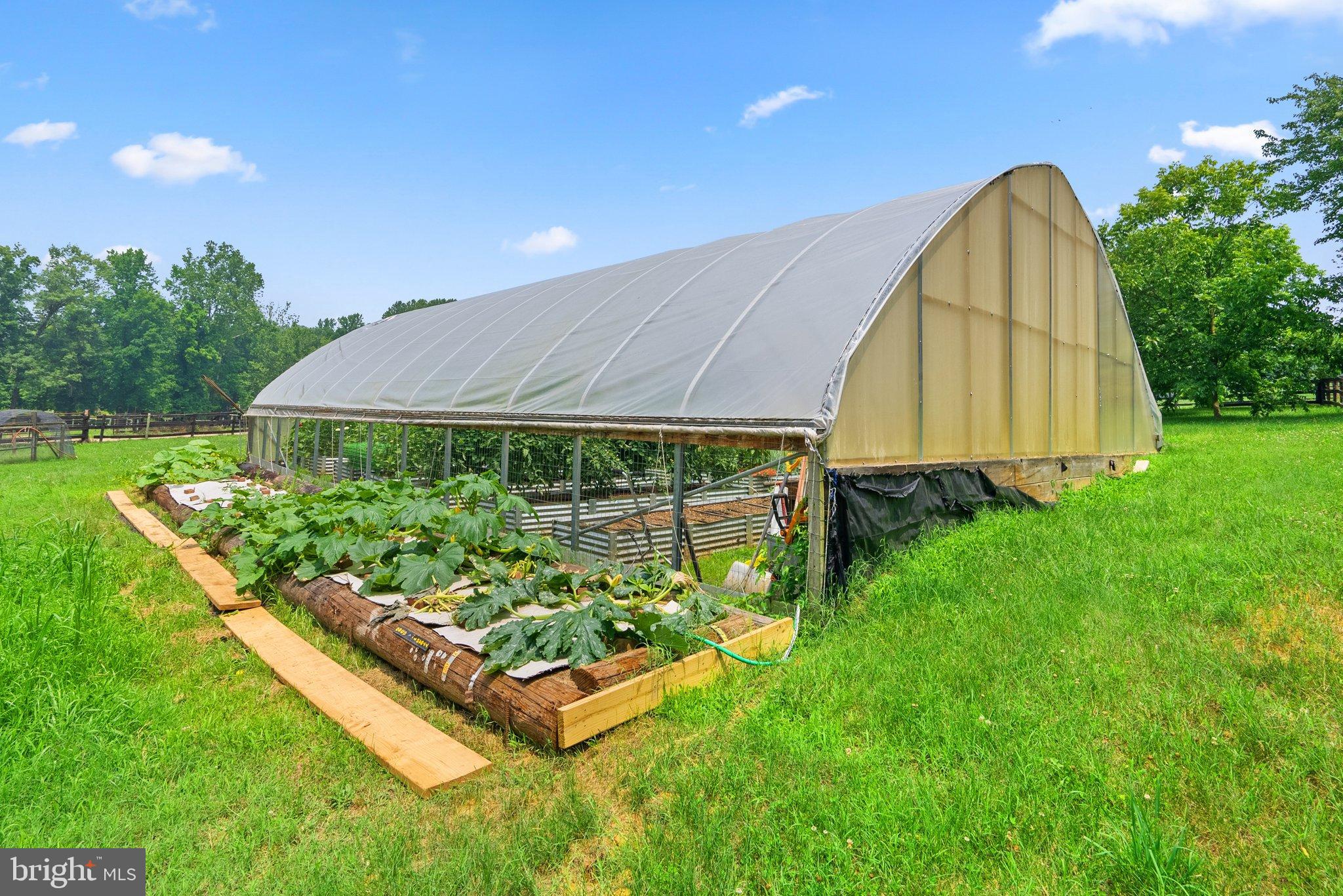 15701 Dr Bowen Road Aquasco, MD 20608 - Photo 55 of 89 a view of a backyard with plants and a garden