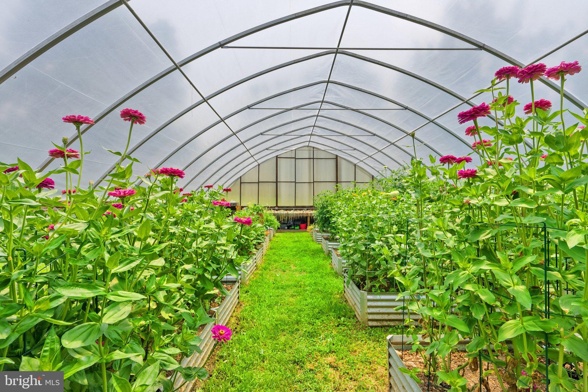 15701 Dr Bowen Road Aquasco, MD 20608 - Photo 56 of 89 a yellow and red flower sitting in a garden