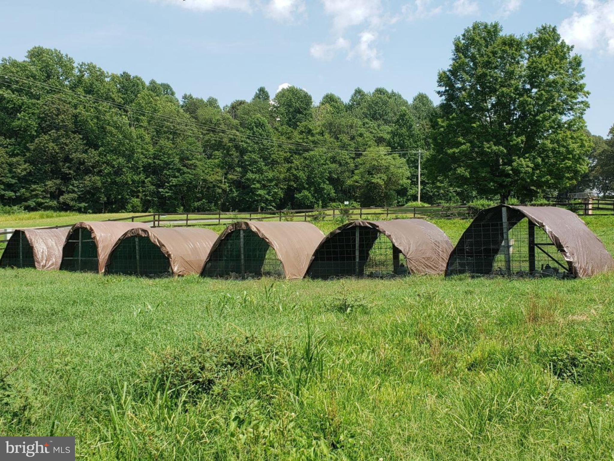 15701 Dr Bowen Road Aquasco, MD 20608 - Photo 61 of 89 Broiler tractors