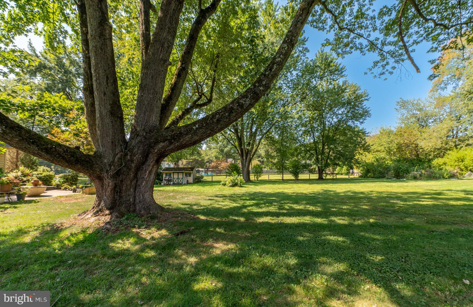 22 Salisbury Lane Malvern, PA 19355 - Photo 38 of 57 a view of a trees in a yard