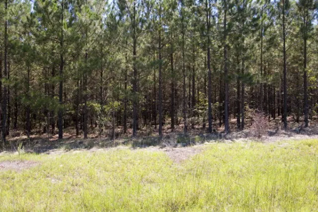 $283,000 | 2033 East 41st Street, Savannah, GA 31404