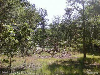 0 128th Rothbury, MI 49452 - Photo 10 of 16 Woods