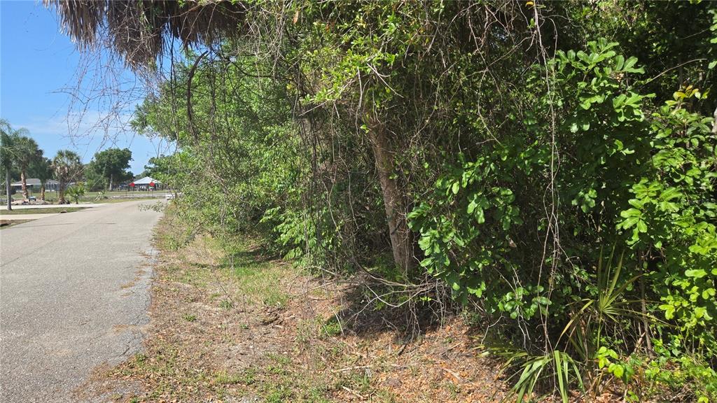 Rolla Road Venice, FL 34293 - Photo 2 of 6 a view of a yard with plants and large trees