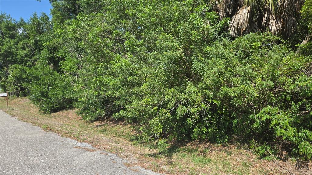 Rolla Road Venice, FL 34293 - Photo 3 of 6 a view of a yard with plants and tree