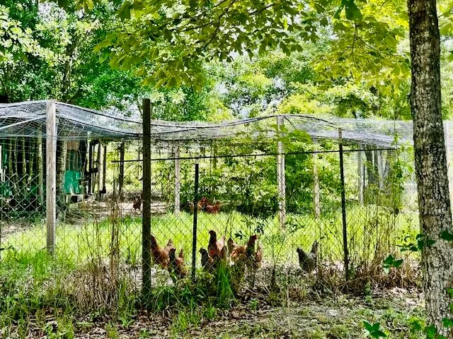 $1,300,000 | 5105 Pasco Broxson Circle, Holt, FL 32564