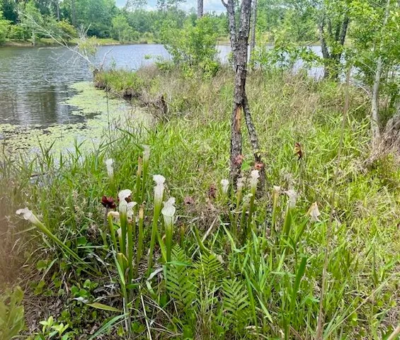 $1,300,000 | 5105 Pasco Broxson Circle, Holt, FL 32564