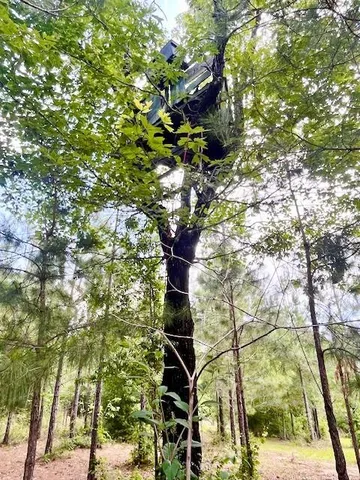 $1,300,000 | 5105 Pasco Broxson Circle, Holt, FL 32564