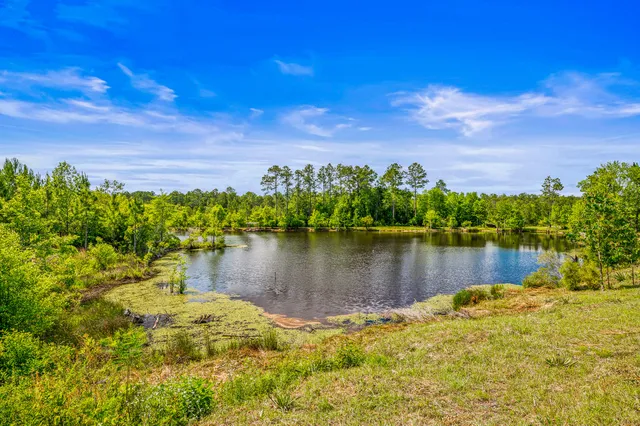 $1,300,000 | 5105 Pasco Broxson Circle, Holt, FL 32564