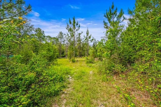 $1,300,000 | 5105 Pasco Broxson Circle, Holt, FL 32564