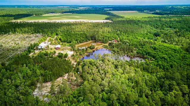 $1,300,000 | 5105 Pasco Broxson Circle, Holt, FL 32564