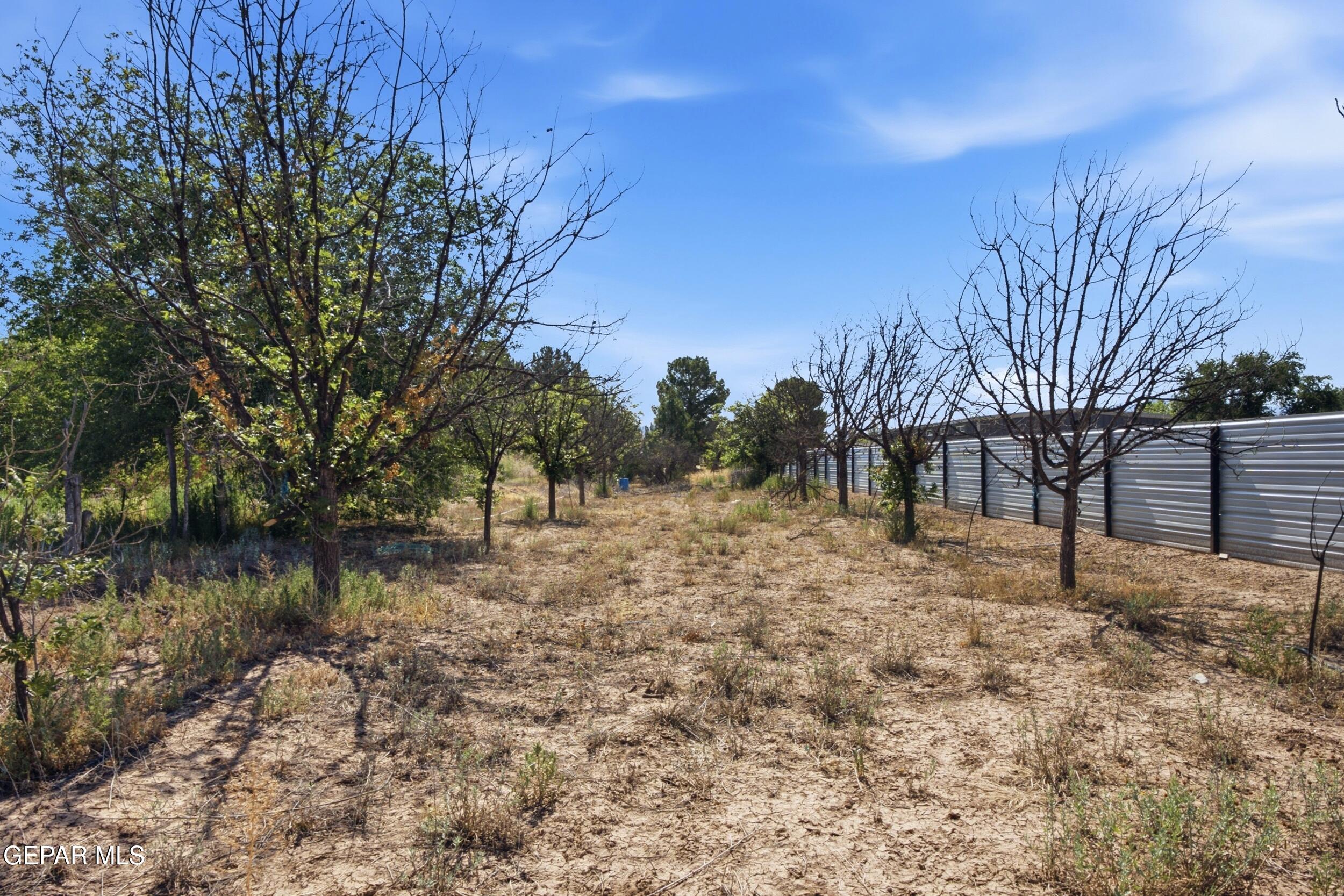 185 Elfego Road Anthony, NM 88021 - Photo 27 of 35 26_dsc06110