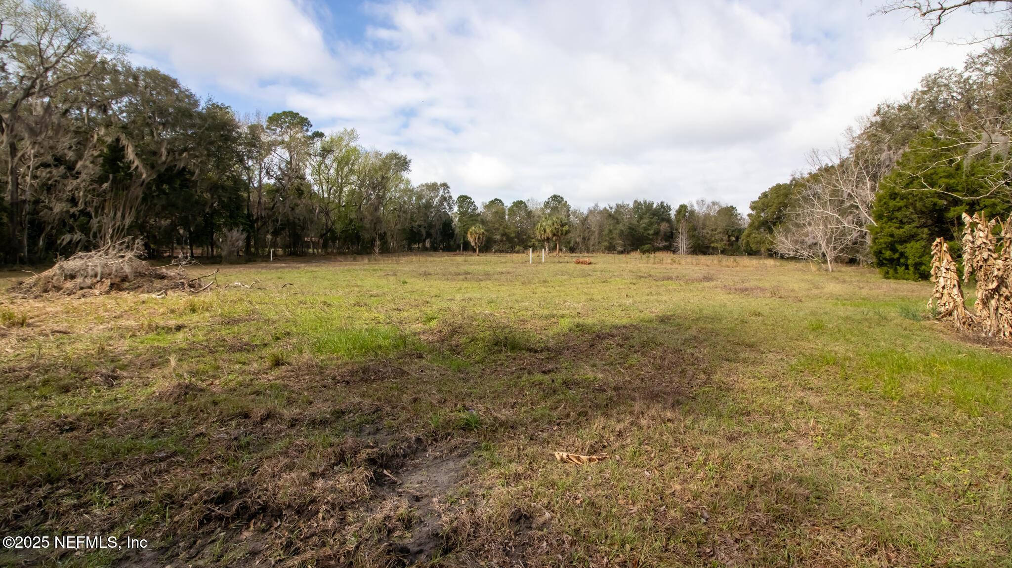 9817 County Road 1469 Earleton, FL 32631 - Photo 19 of 23