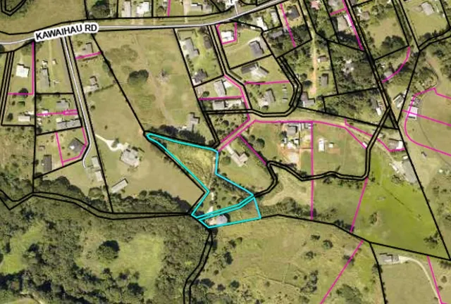 a view of a bunch of trees in a field