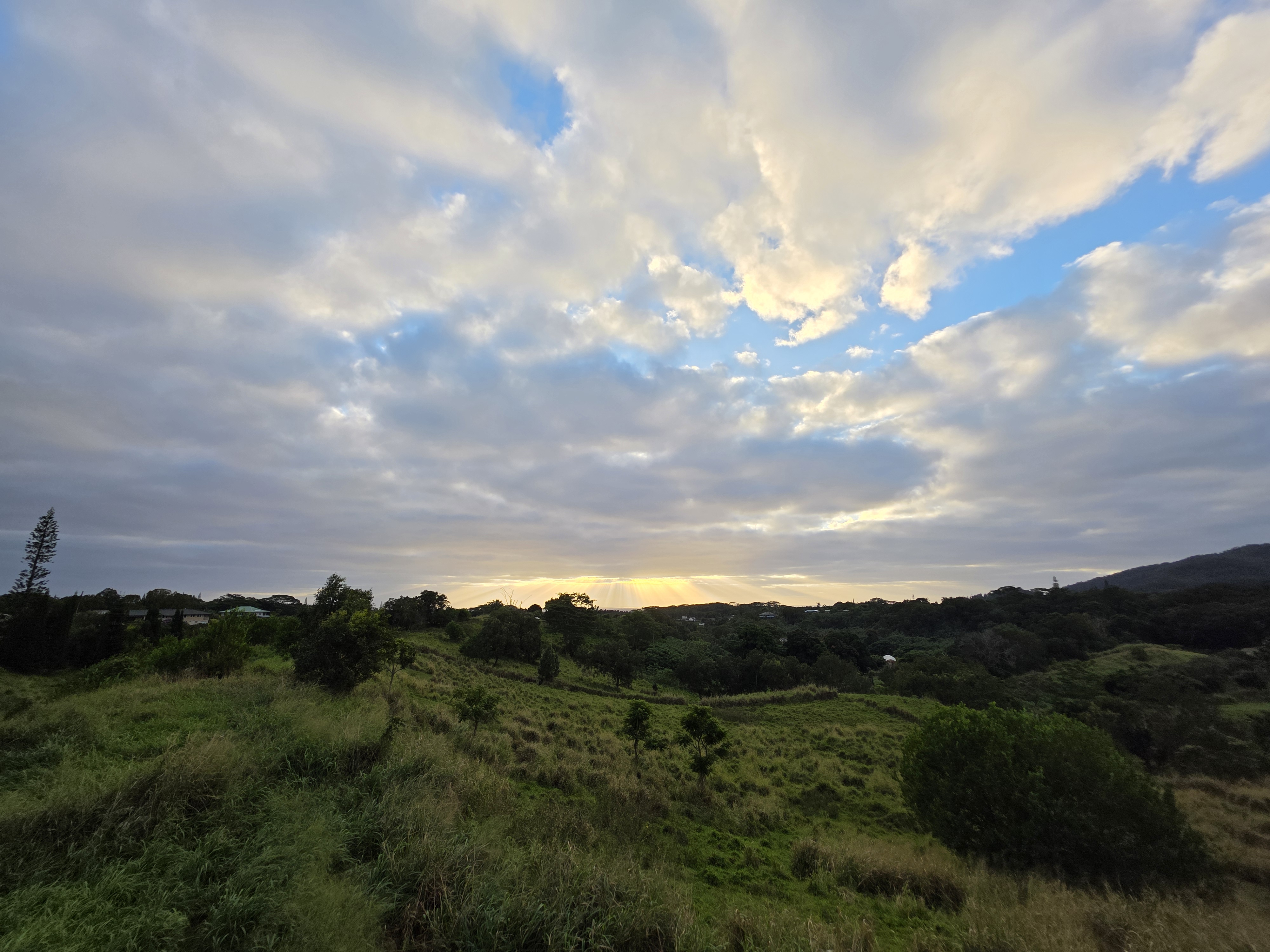 6469 L Kawaihau Road Kapaa, HI 96746 - Photo 2 of 12 a view of a bunch of trees in a field
