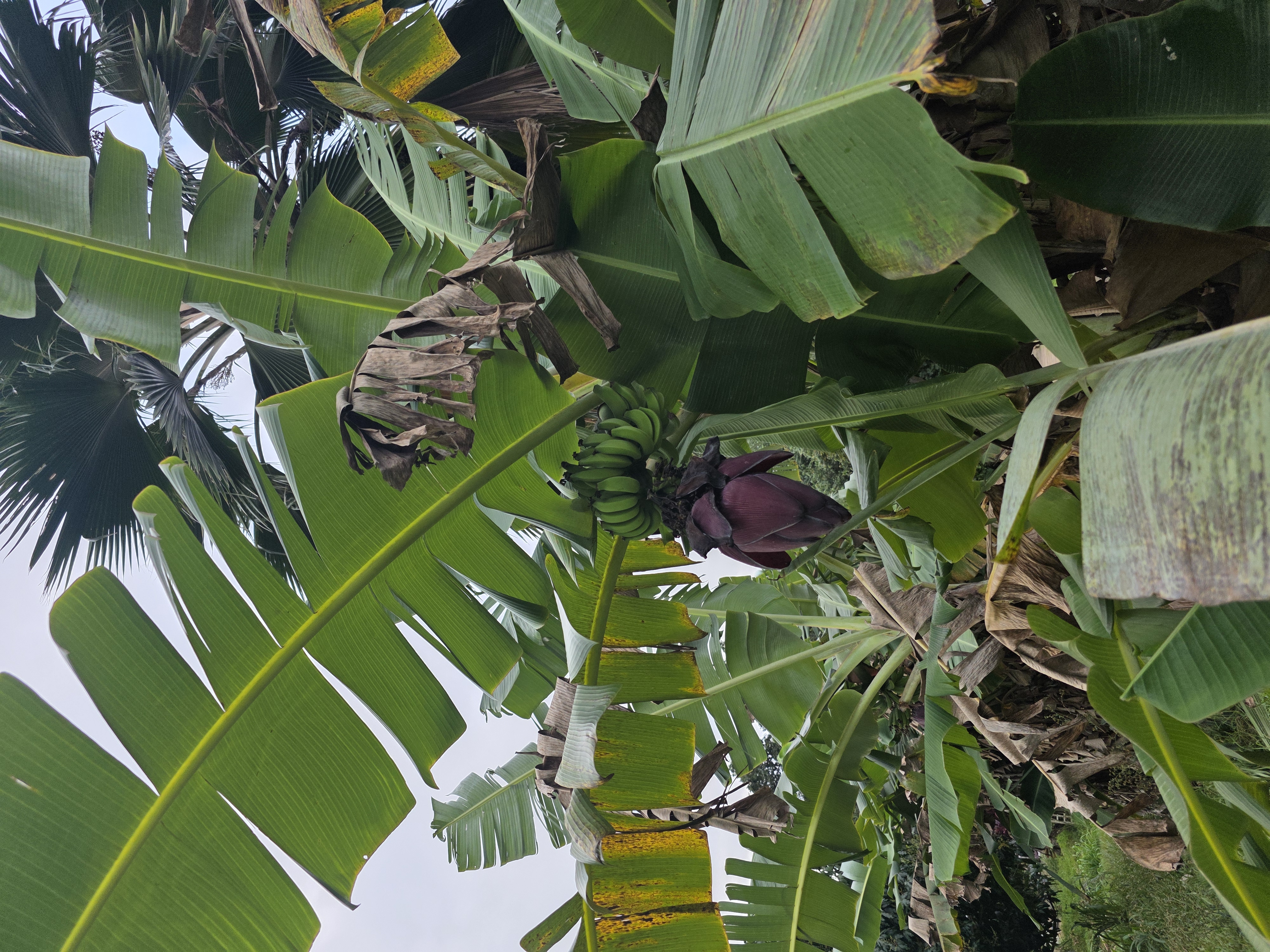 6469 L Kawaihau Road Kapaa, HI 96746 - Photo 9 of 12 a view of a book