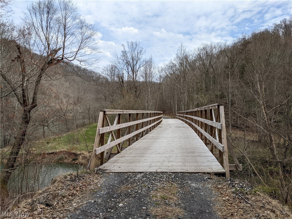 1487 Groves Creek Road Duck, WV 25063 - Photo 25 of 33 RAIL TRAIL