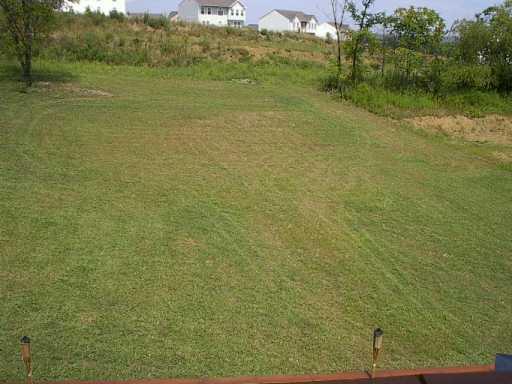 Yard/Garden. 