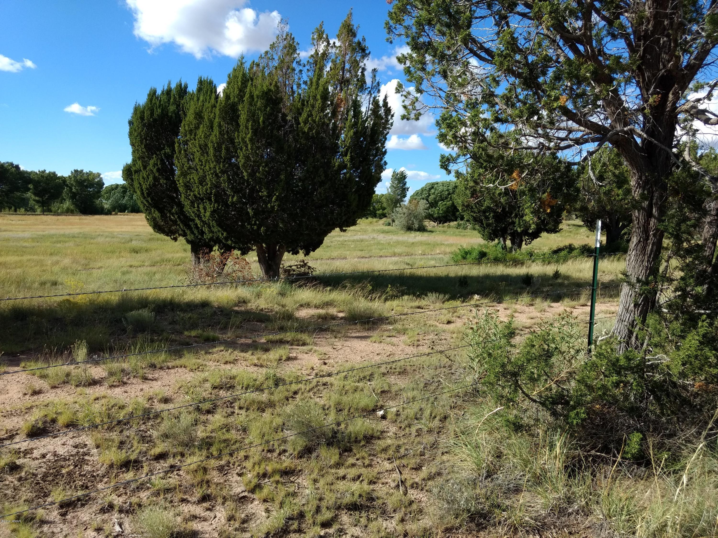 69 Spring Drive Concho, AZ 85924 - Photo 1 of 16