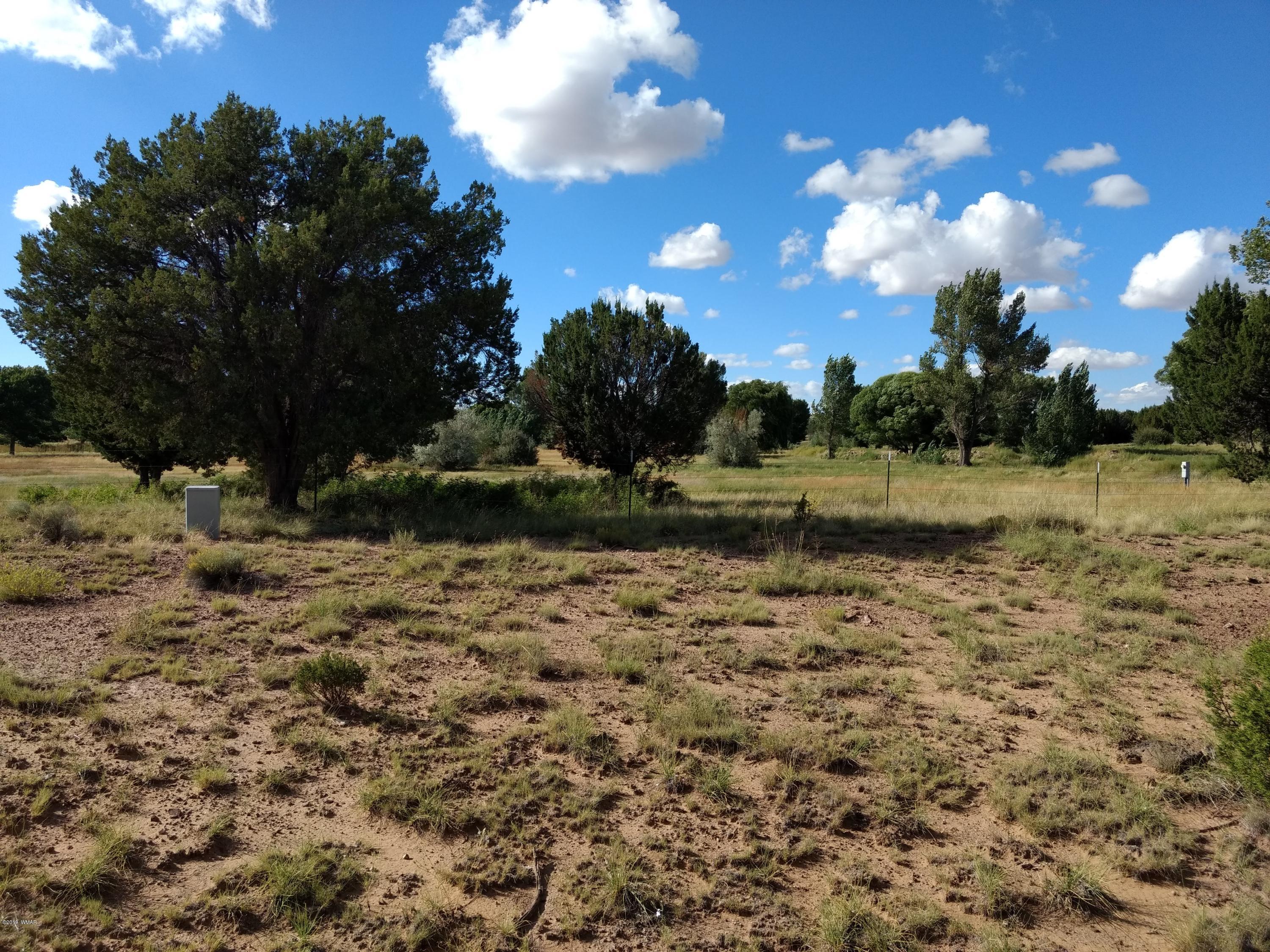 69 Spring Drive Concho, AZ 85924 - Photo 2 of 16