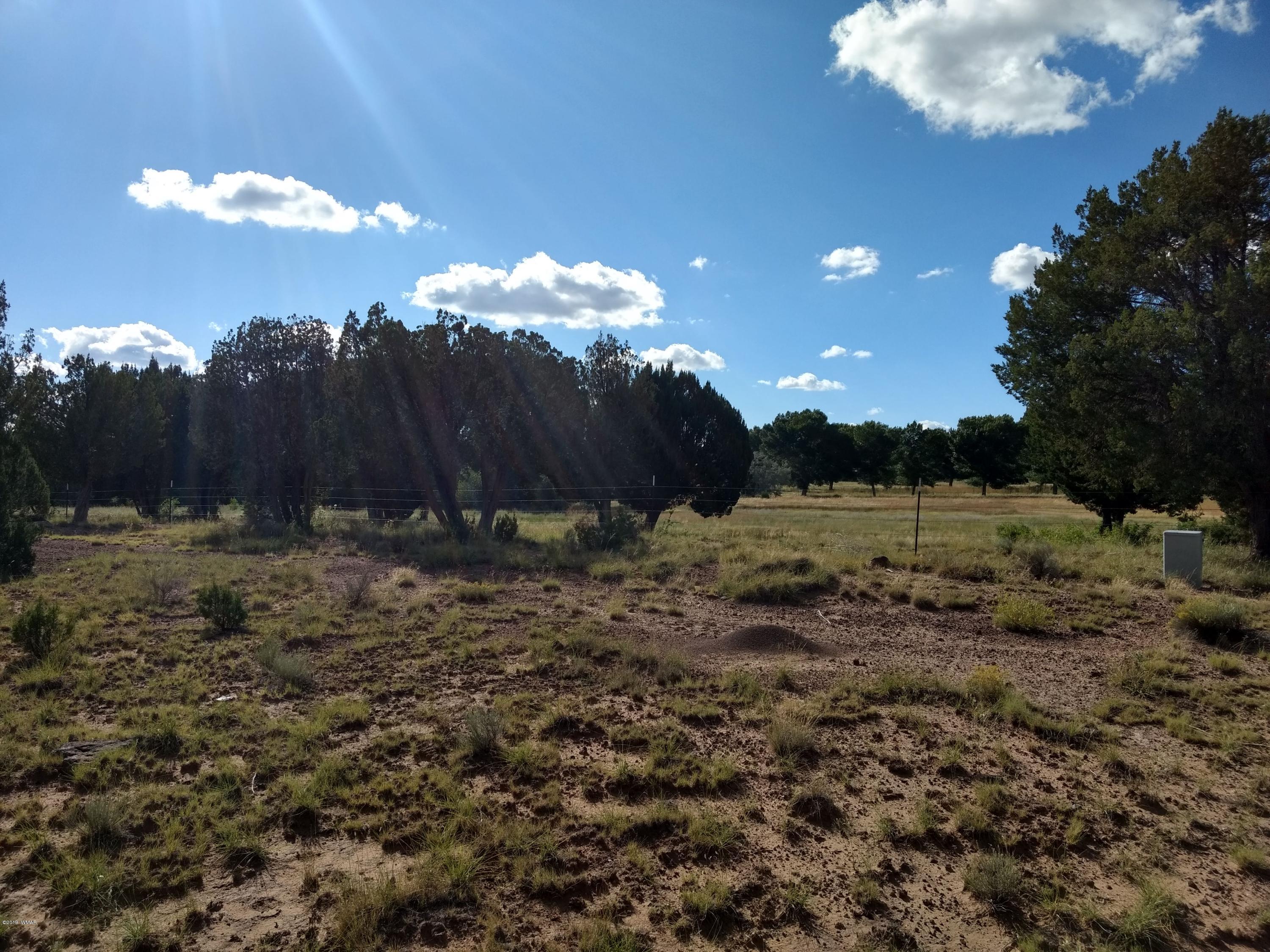 69 Spring Drive Concho, AZ 85924 - Photo 3 of 16