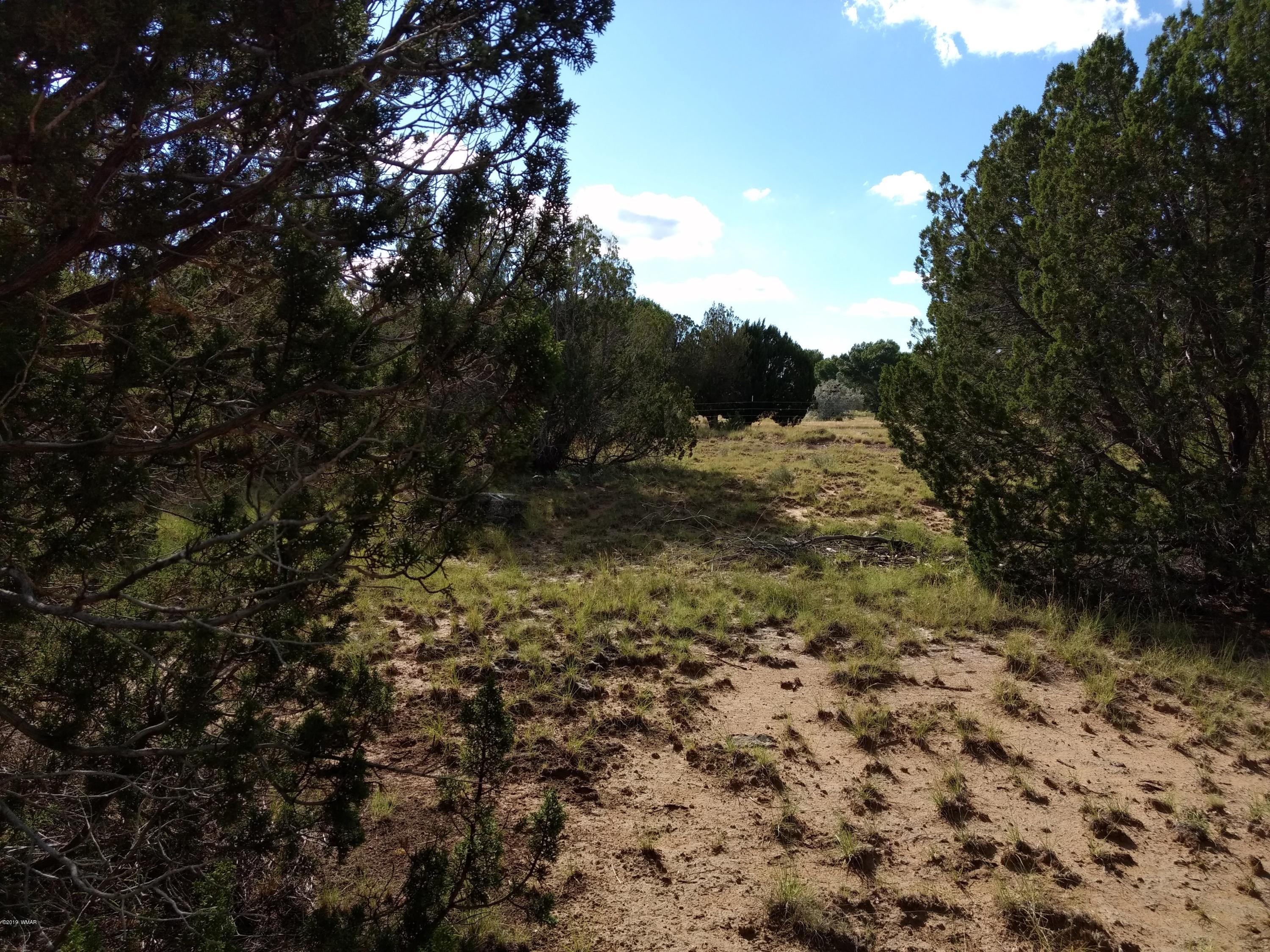 69 Spring Drive Concho, AZ 85924 - Photo 4 of 16