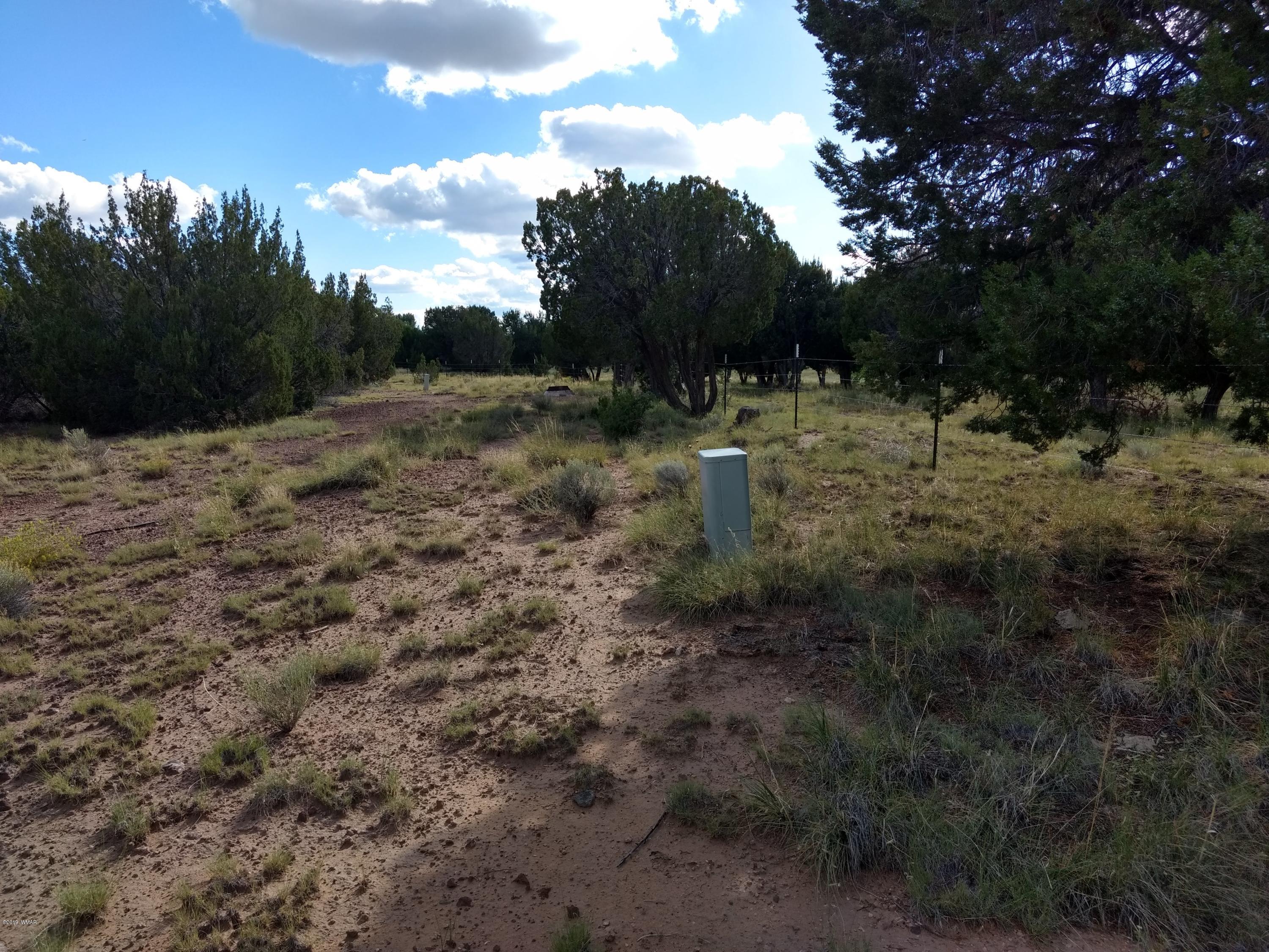 69 Spring Drive Concho, AZ 85924 - Photo 5 of 16