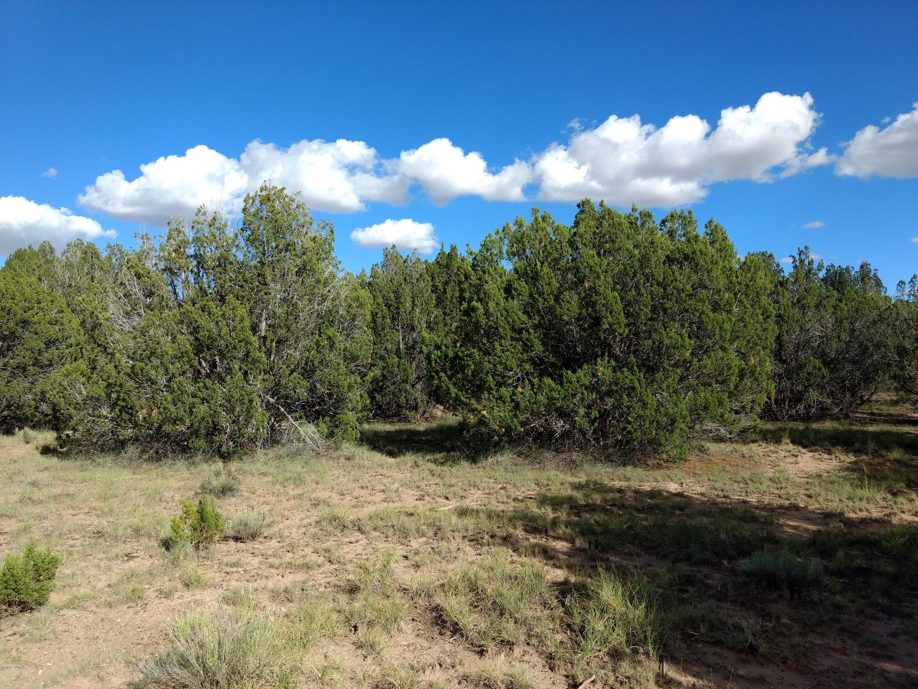 69 Spring Drive Concho, AZ 85924 - Photo 6 of 16