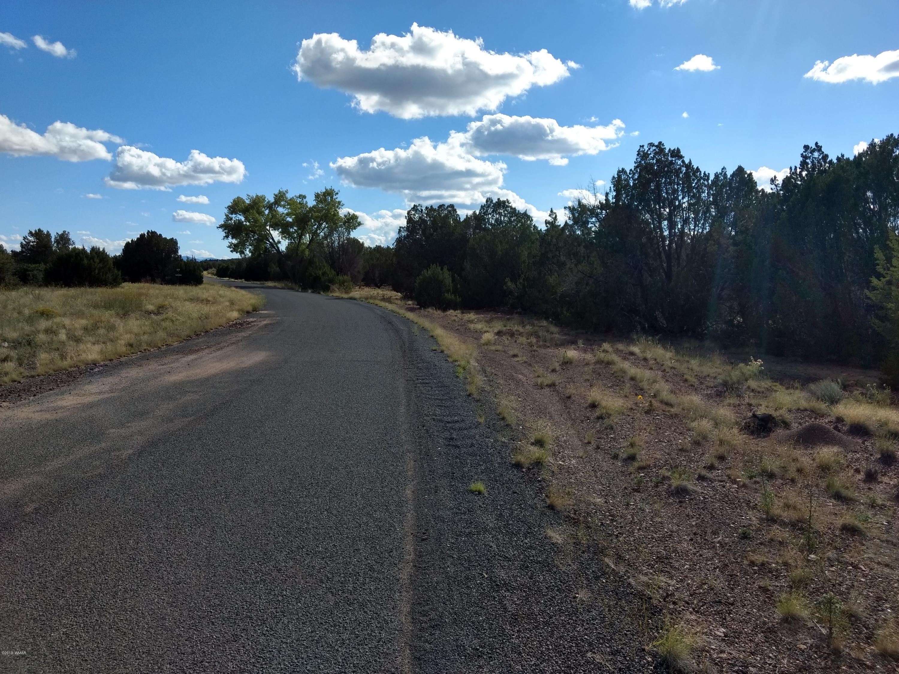69 Spring Drive Concho, AZ 85924 - Photo 9 of 16