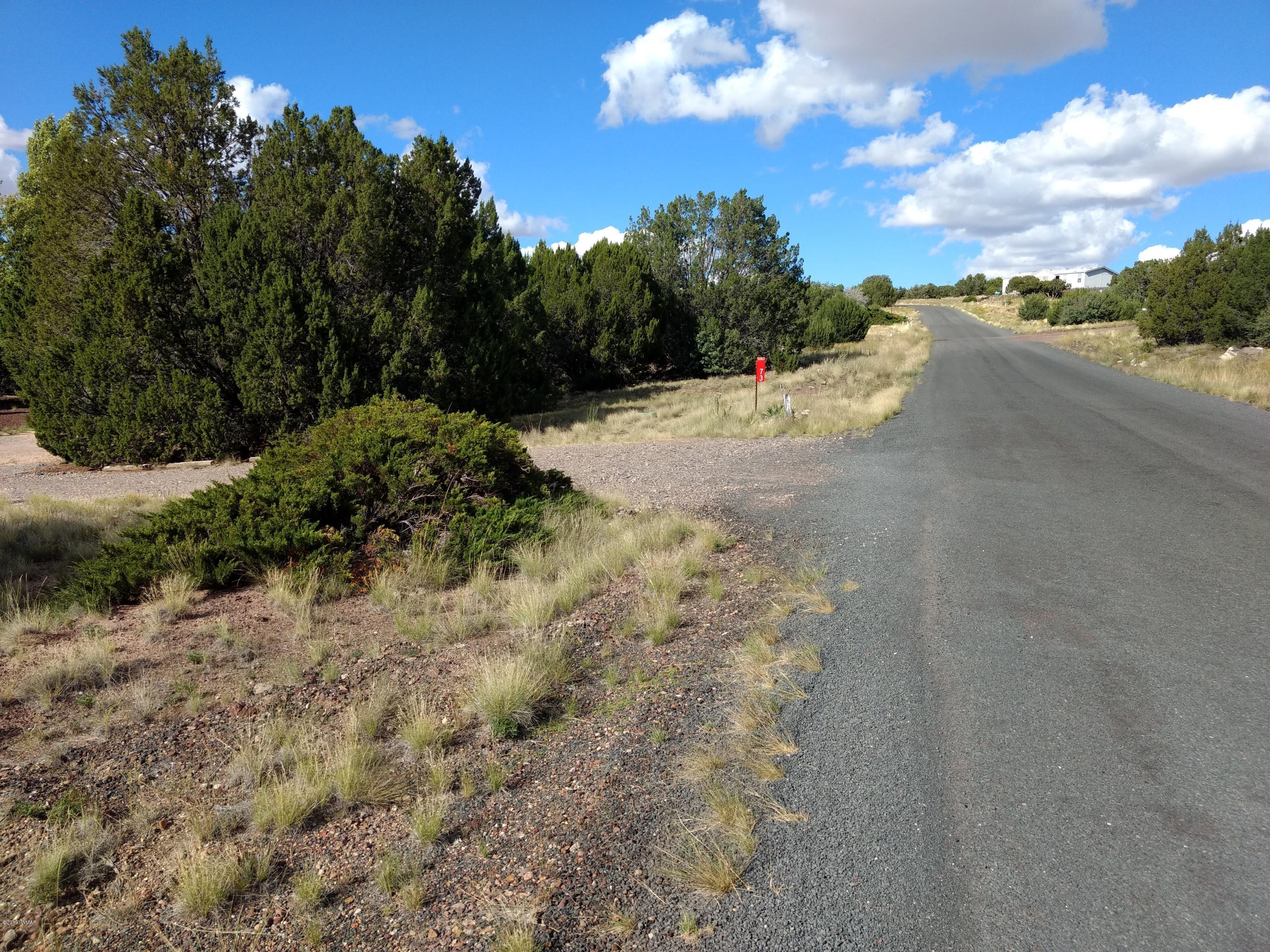 69 Spring Drive Concho, AZ 85924 - Photo 10 of 16