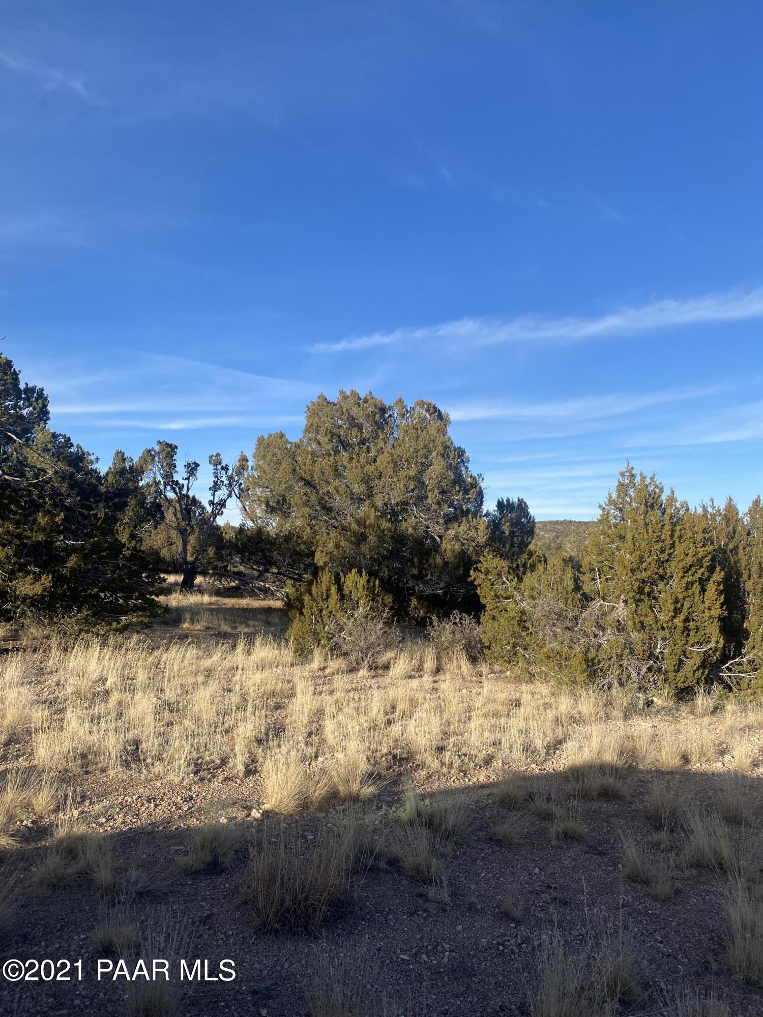 31050 Pipeline Road Seligman, AZ 86337 - Photo 3 of 9 IMG-4068