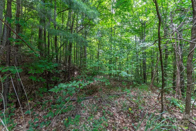 $62,500 | 72 Applewood Lane, Unit 93, Weaverville, NC 28787