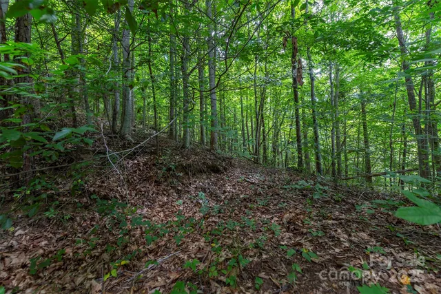 $62,500 | 72 Applewood Lane, Unit 93, Weaverville, NC 28787