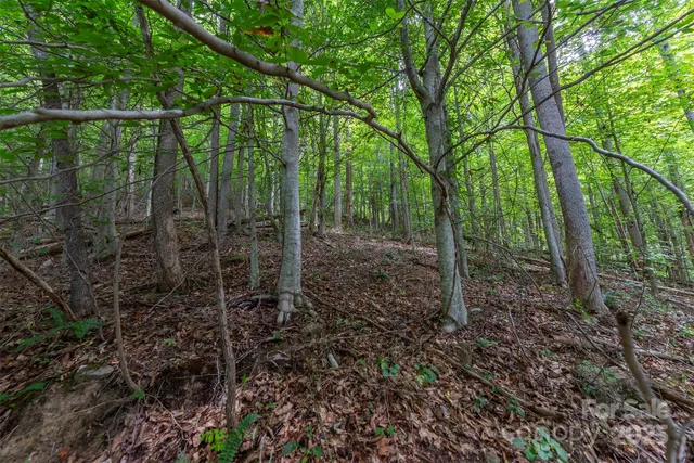 $62,500 | 72 Applewood Lane, Unit 93, Weaverville, NC 28787