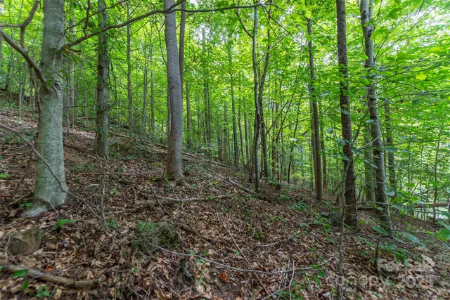 $62,500 | 72 Applewood Lane, Unit 93, Weaverville, NC 28787