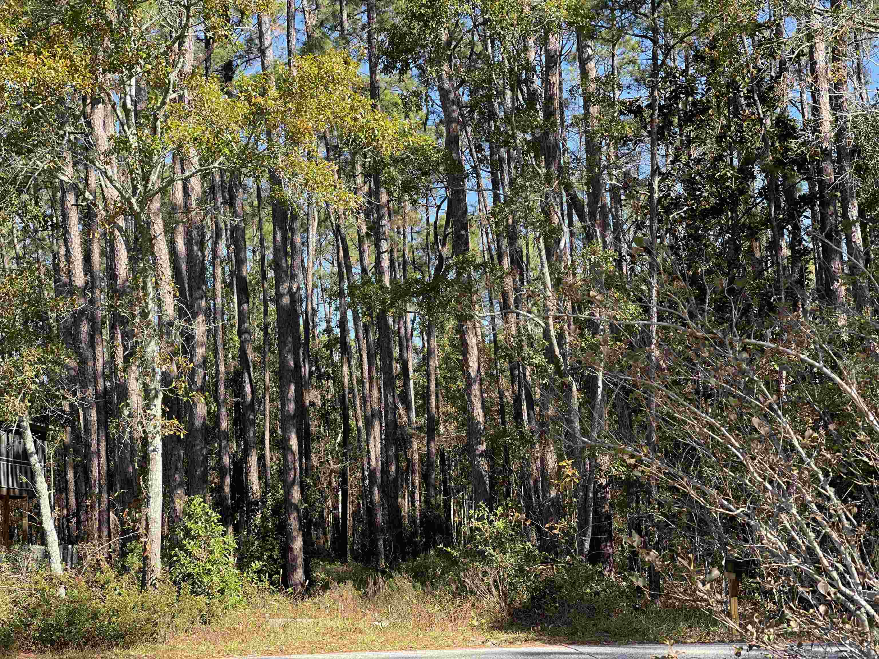 10790 County Road 1 Fairhope, AL 36532 - Photo 2 of 12