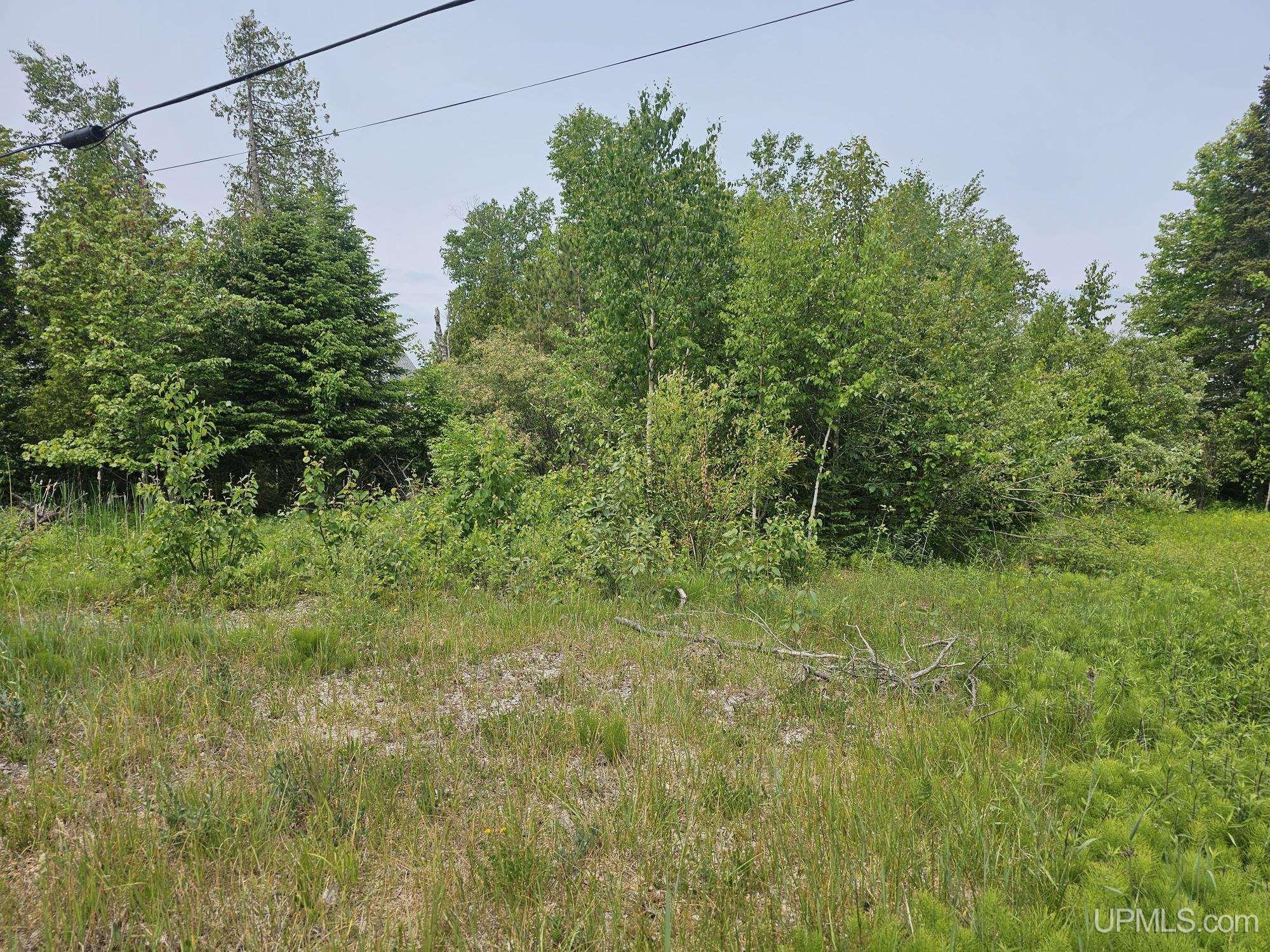 432 Rd Gulliver Mi 49840 Road Gulliver, MI 49840 - Photo 4 of 10