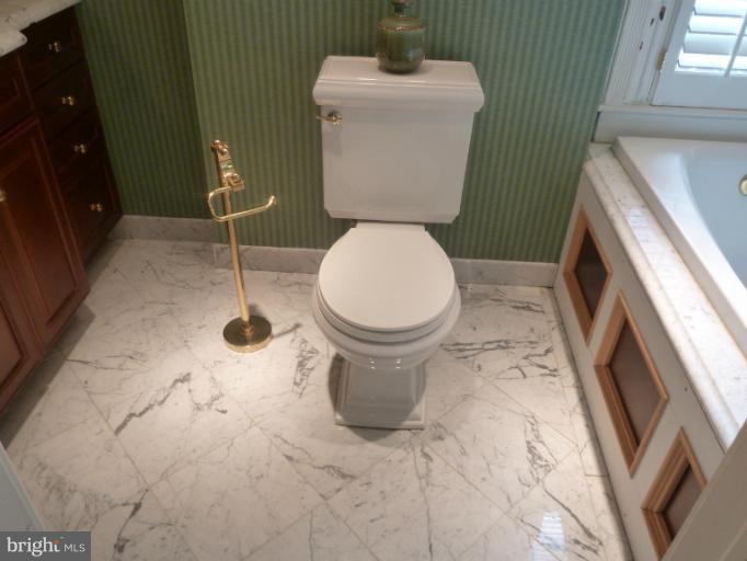 409 A Street Southeast Washington, DC 20003 - Photo 20 of 29 Bath (Master)