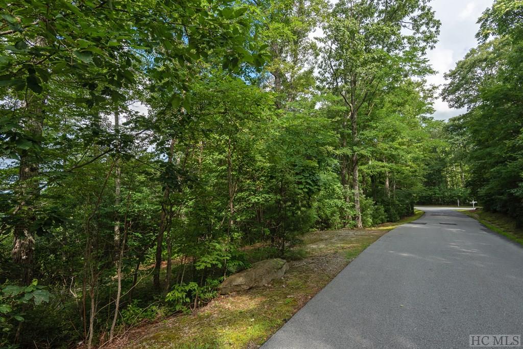 Lot 21 East Ridge Road Cashiers, NC 28717 - Photo 5 of 14 Gallery Image 5