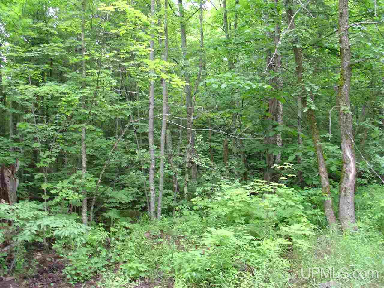 Off Ethelwood Grade Road Marenisco, MI 49947 - Photo 2 of 12