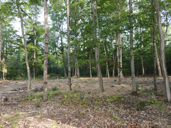 $46,500 | Lot 6 Oak Pond Road, Canaan, ME 04924