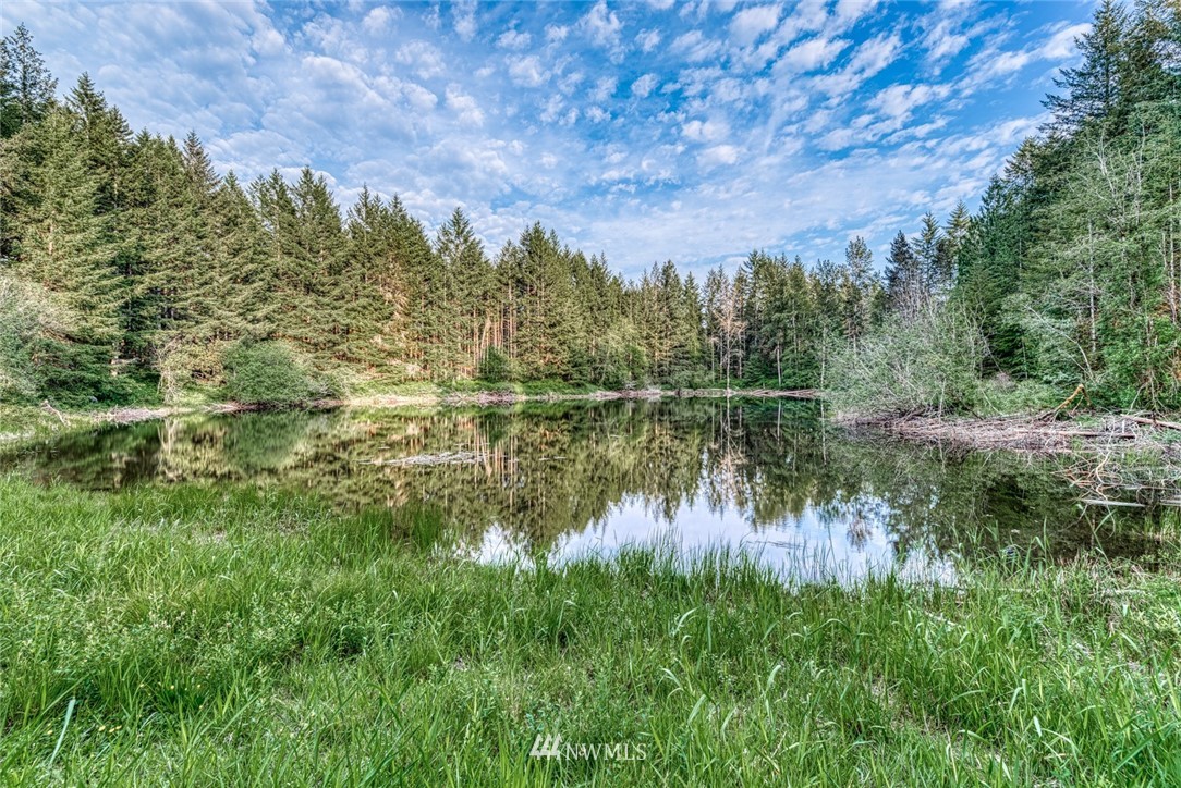 3929 Southwest Huckleberry Road Port Orchard, WA 98367 - Photo 22 of 23