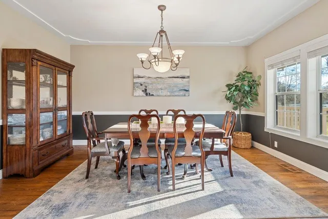 a view of park with large trees