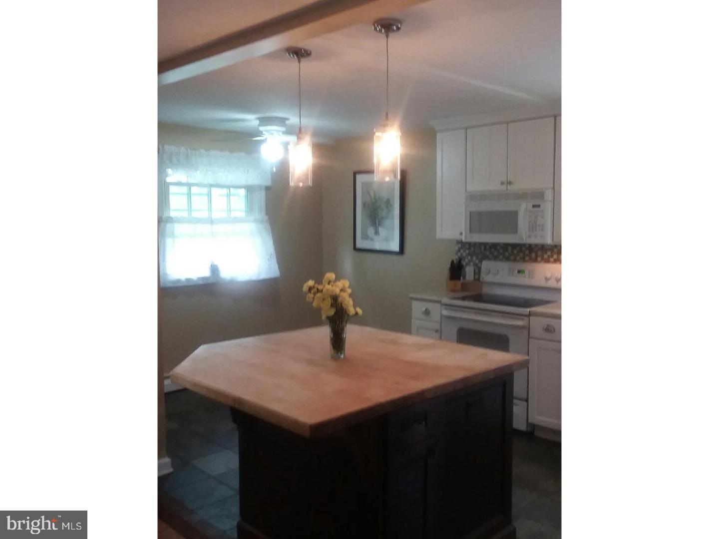 755 West Bridge Street Spring City, PA 19475 - Photo 3 of 19 Kitchen