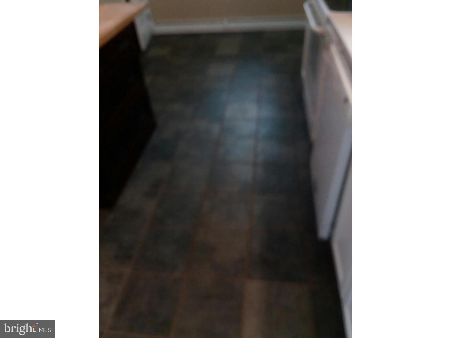 755 West Bridge Street Spring City, PA 19475 - Photo 4 of 19 Kitchen
