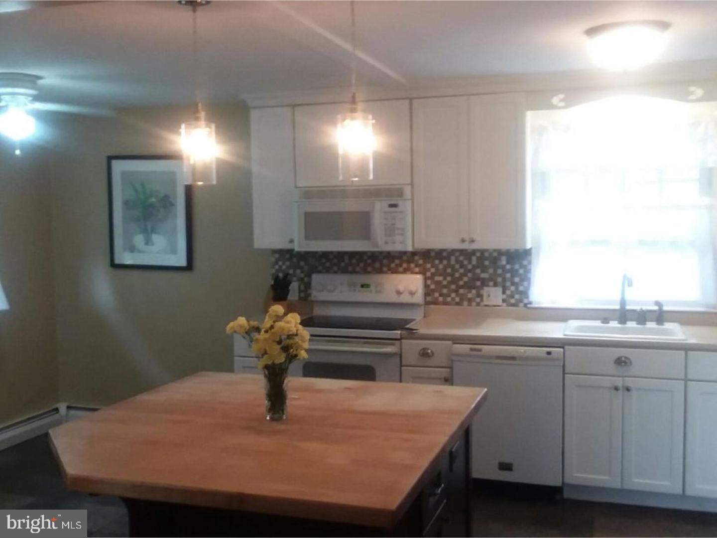 755 West Bridge Street Spring City, PA 19475 - Photo 7 of 19 Kitchen